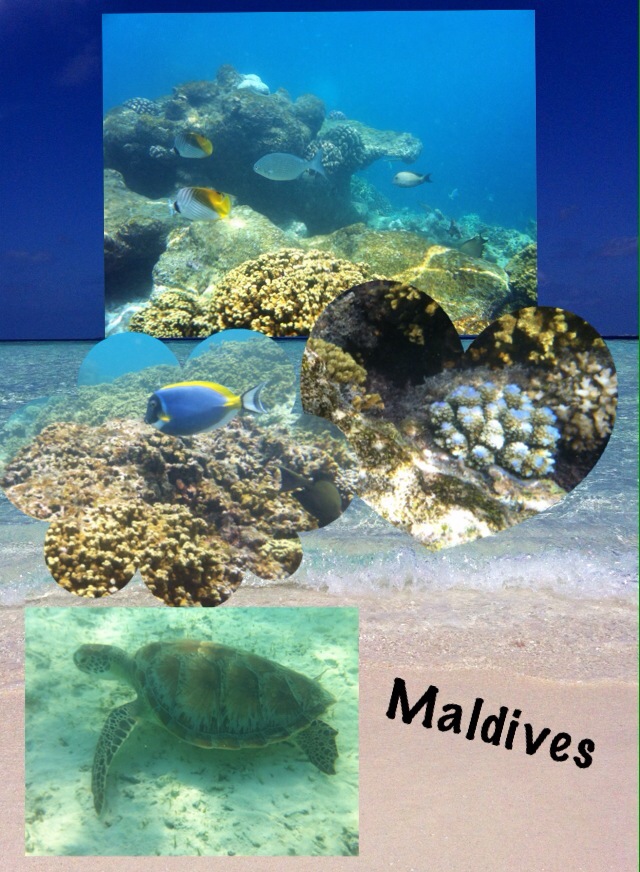 maldives memory.jpg